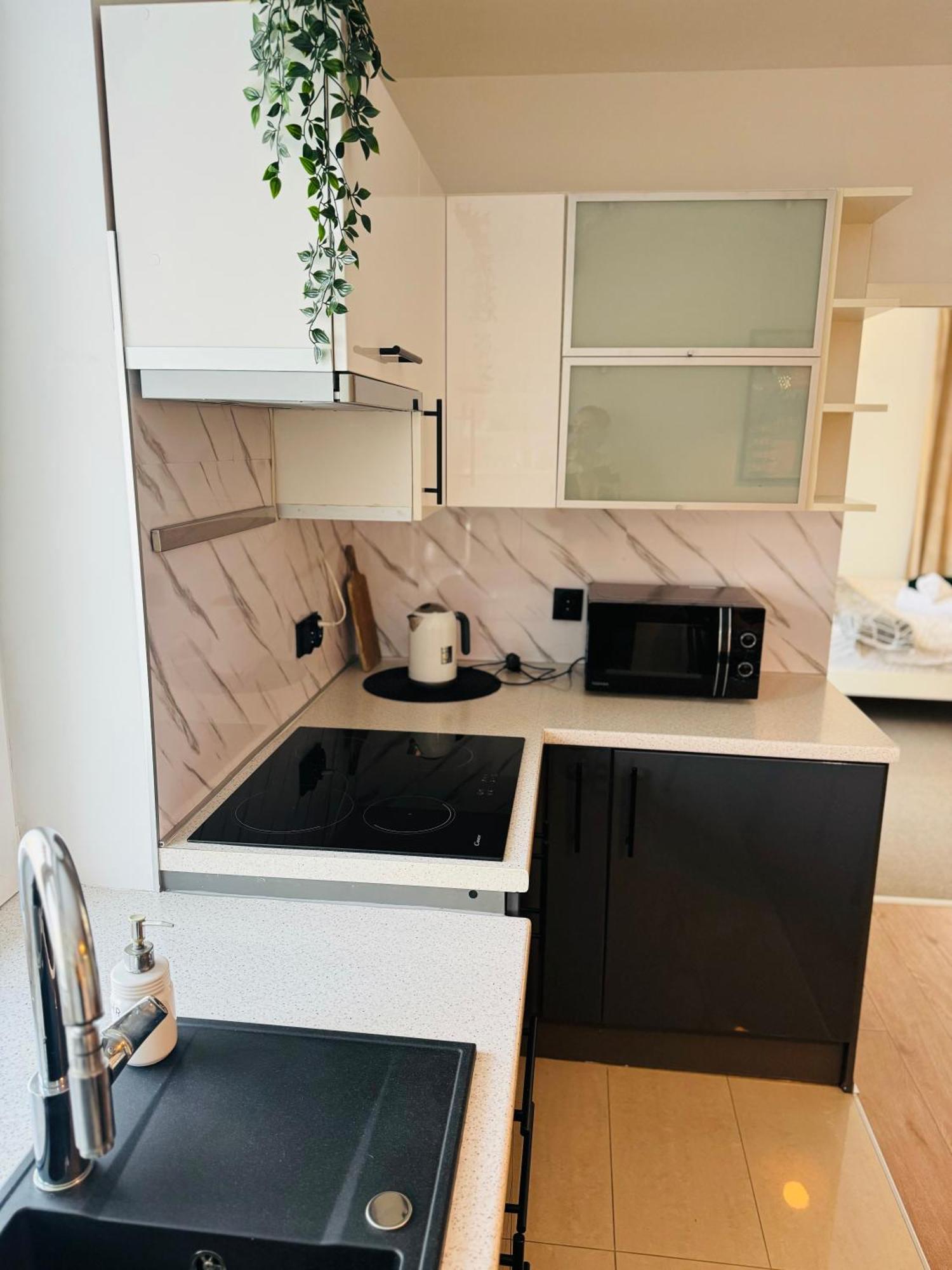 Villa Vincentow ميشلينيتسه المظهر الخارجي الصورة